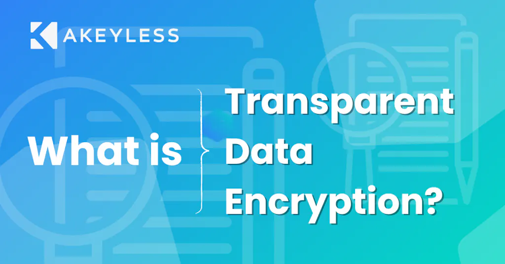 What is Transparent Data Encryption (TDE?)