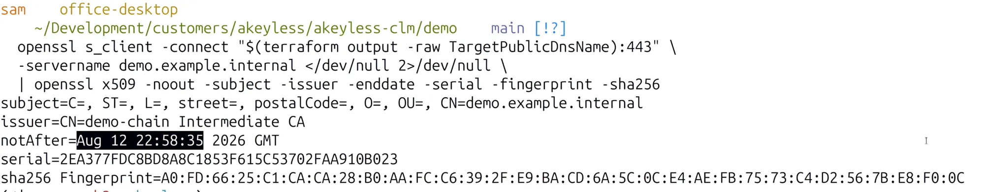 openssl output after provisioning, showing the issuer is now the demo-chain Intermediate CA